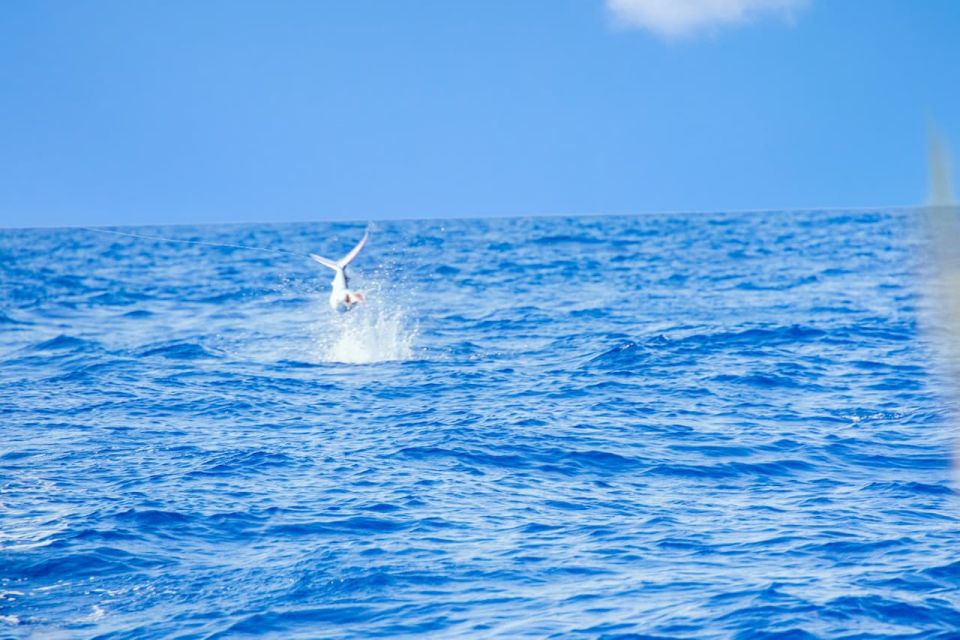 From Punta Cana: Deep Sea Fishing Tour by Boat With Drinks - Common questions