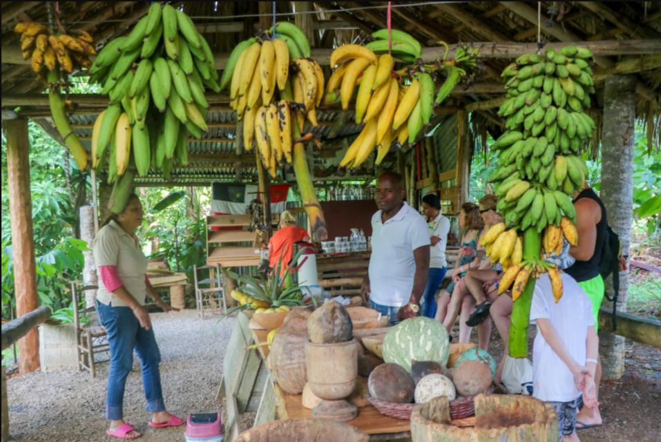 From Punta Cana: Los Haitises and Redonda Mountain Day Trip - Directions