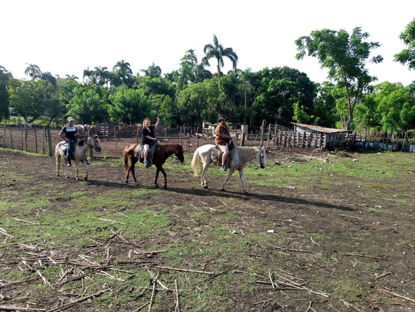 From Punta Cana: Zafary Citytour Half Day Cathedralbuffet - Common questions