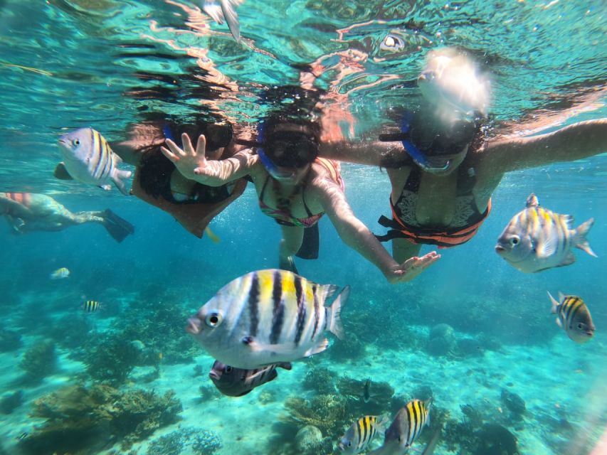 From Safaga: Diving & Snorkeling Trip 2 Spots With Lunch - Common questions