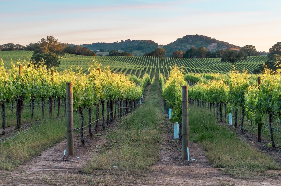 From San Francisco: Guided Napa & Sonoma Wine Country Tour - Directions