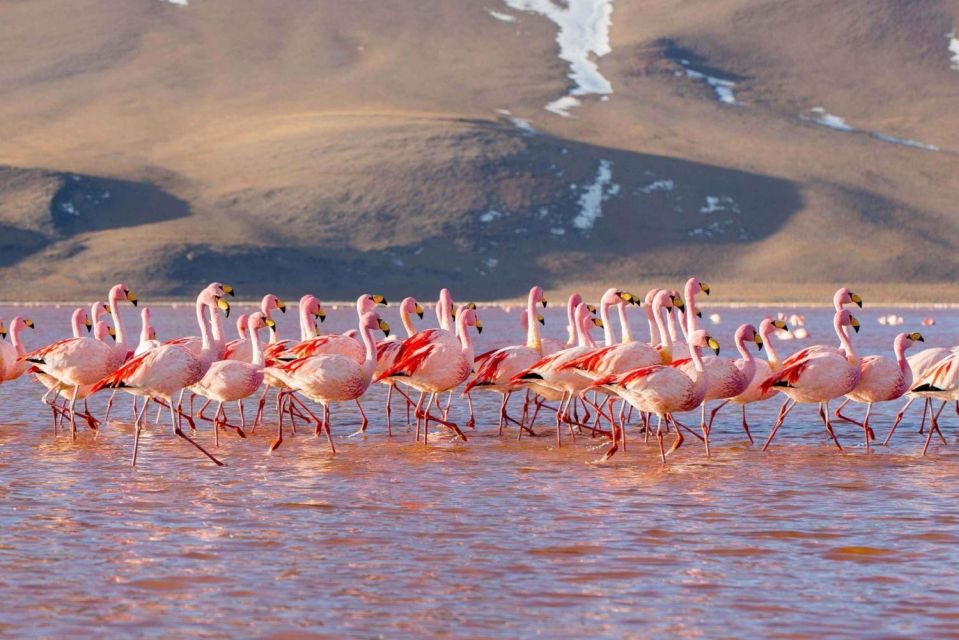 From San Pedro De Atacama 4-Day Tour to the Uyuni Salt Flat - Accommodation Information