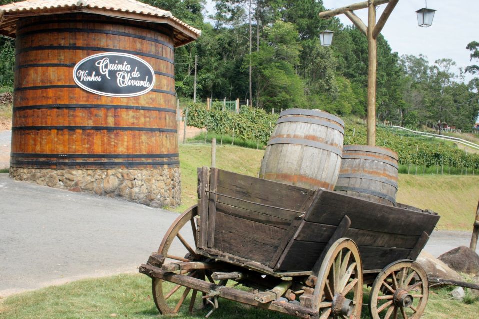 From São Paulo: São Roque Wineries Route and Shopping Tour - Accessibility Information
