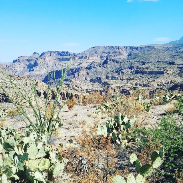 From Scottsdale/Phoenix: Apache Trail Day Tour - Inclusions and Amenities