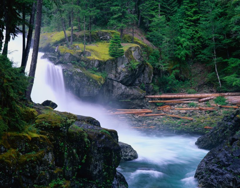 From Seattle: Mount Rainier Full-Day Tour - Last Words