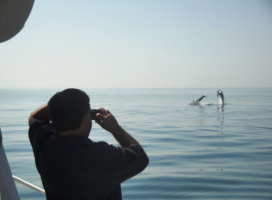 From Sesimbra: Arrábida Dolphin Watching Boat Tour - Directions to Starting Locations