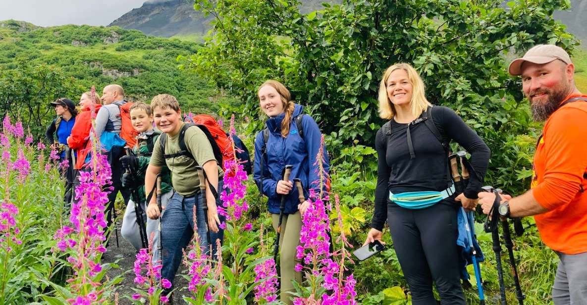From Seward: 4-hour Wilderness Hiking Tour - Traveler Reviews
