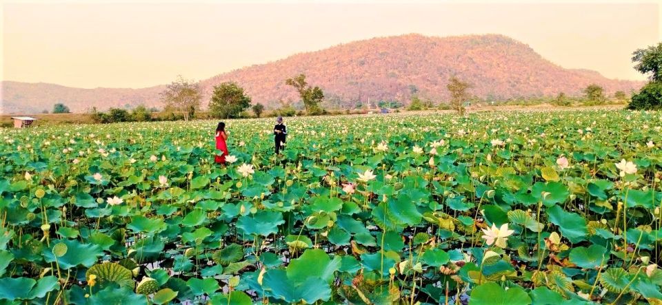 From Siem Reap: Bamboo Train & Killing Cave Private Day Trip - Bamboo Train Experience