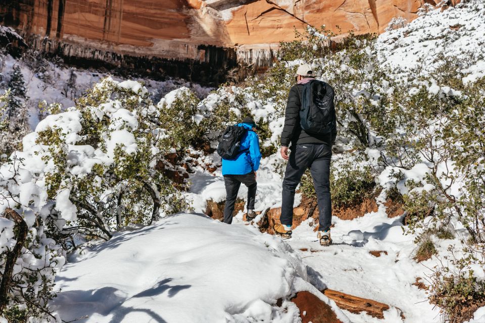 From Springdale: 4-hour Zion Canyon Scenic Hiking Tour - Participant Information and Arrival Details