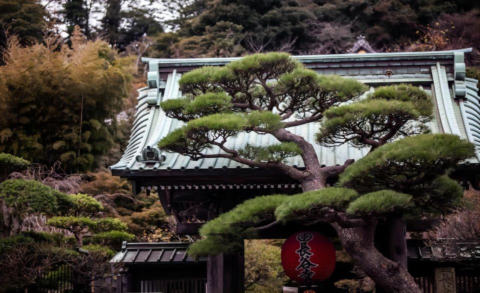 From Tokyo: 10-hour Private Custom Tour to Kamakura - Enjoying Kamakuras History and Culture