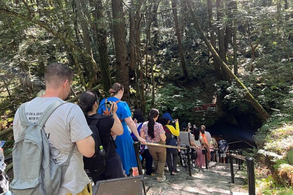 From Tokyo: Guided Aokigahara Forest and Mt.Fuji Day Tour - Last Words