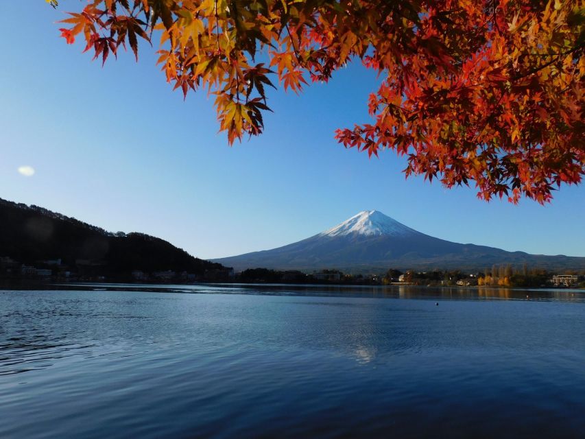 From Tokyo: Hakone, Owakudani, & Lake Kawaguchi Day Tour - Common questions