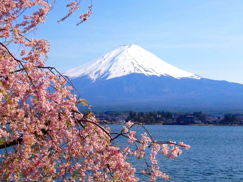 From Tokyo: Mt. Fuji or Hakone Private Sightseeing Day Trip - Transportation and Value