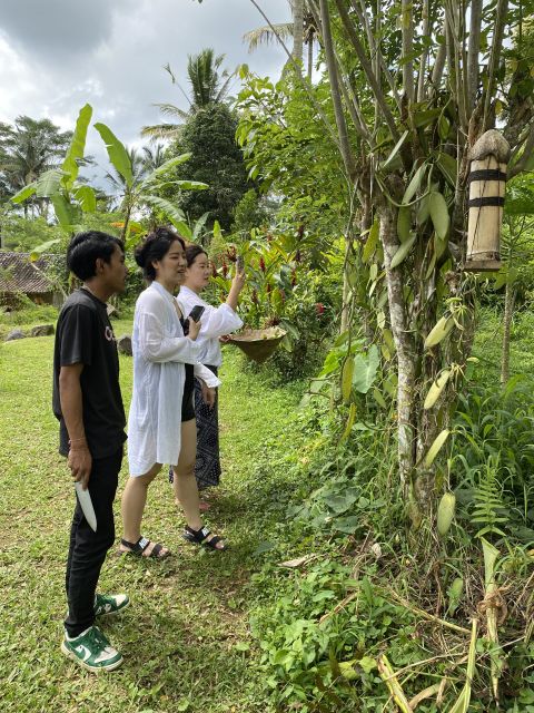 From Ubud: Balinese Cooking Class at an Organic Farm - Directions