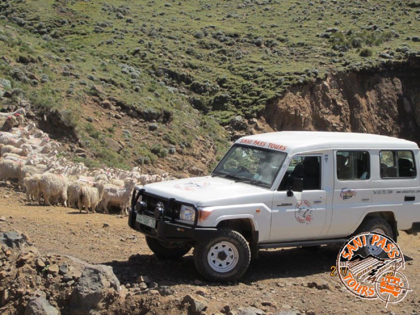 From Underberg: 4x4 Sani Pass Day Trip - Duration and Availability