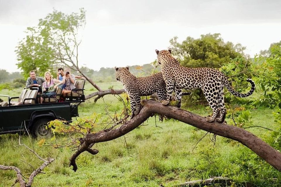 From Yala :- Yala National Park Thrilling Full - Day Safari - Pickup and Drop-off