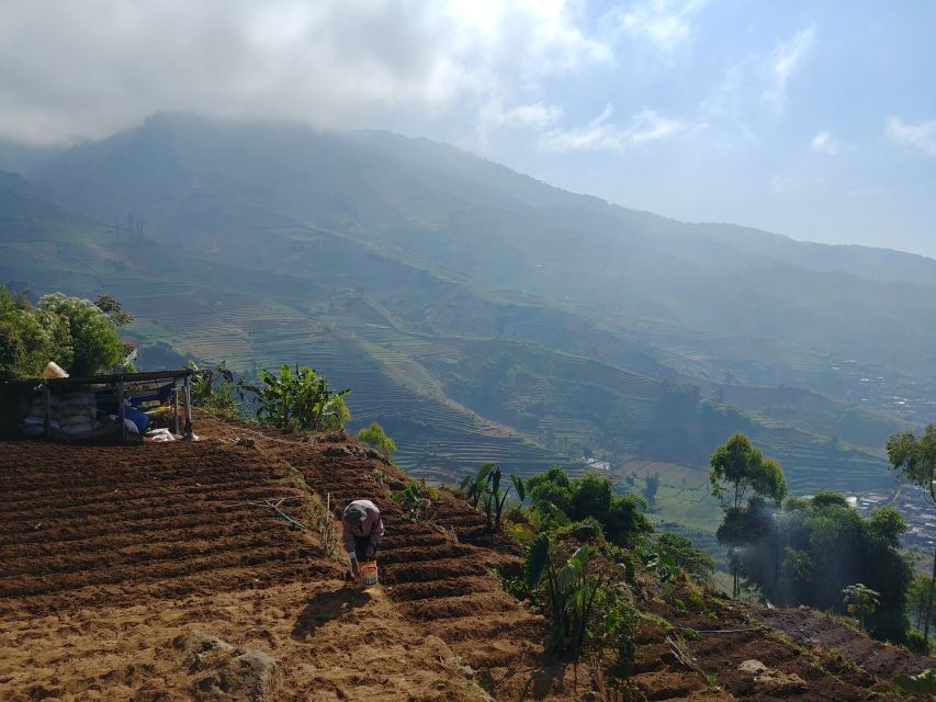 From Yogyakarta: The Beauty Of Dieng Guided Day Tour - Common questions