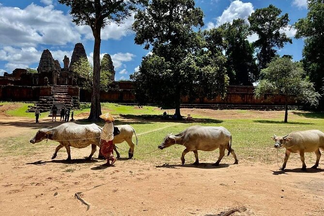 Full-Day Big Tour With Sunset at Phnom Bakheng - Common questions