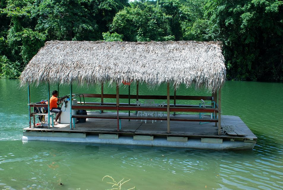 Full Day Buggy Safari With Lunch and Chavon River Tour - Itinerary Overview