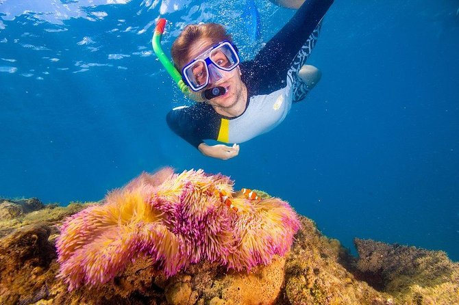 Full-Day Cruise Tour to Frankland Islands Great Barrier Reef - Directions to Deeral Jetty