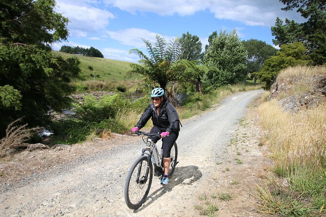 Full Day Ebike Tour in Karangahake Gorge (ex Auckland) - Common questions