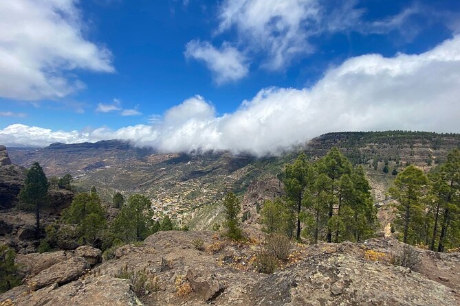 Full-Day Gran Canaria Tour With Teror, Tejeda and Lunch in Fataga - Traveler Assistance Information