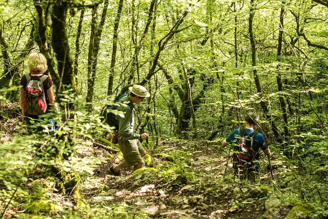 Full-Day Guided Hike of Vikos Gorge in Monodendri (Mar ) - Booking Details