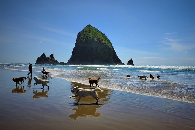 Full-Day Guided Oregon Coast Tour From Portland - Last Words