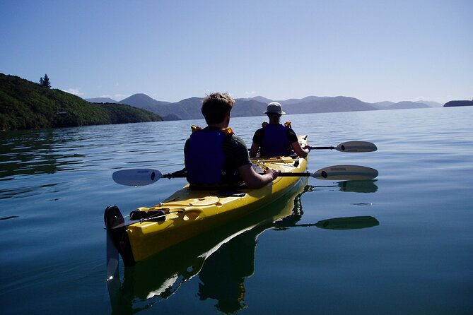 Full Day Guided Sea Kayak Tour From Picton - Accessibility Information