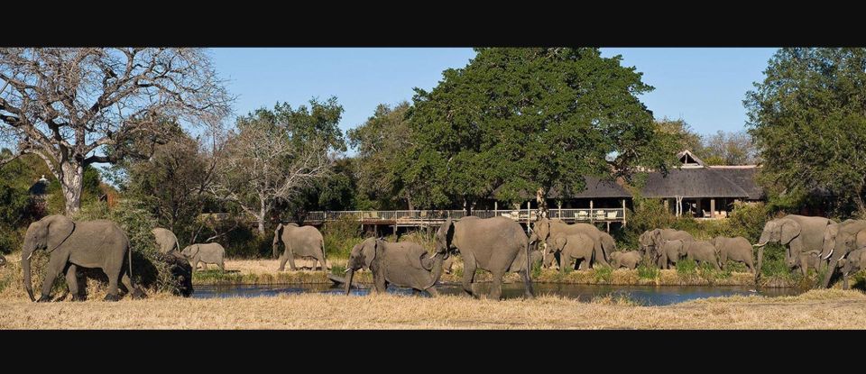 Full Day Isimangaliso Wetlands Park Tour From Durban - Common questions