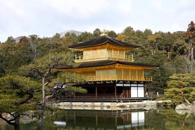 Full Day Kyoto and Nara Guided Tour - Guided Tour Insights