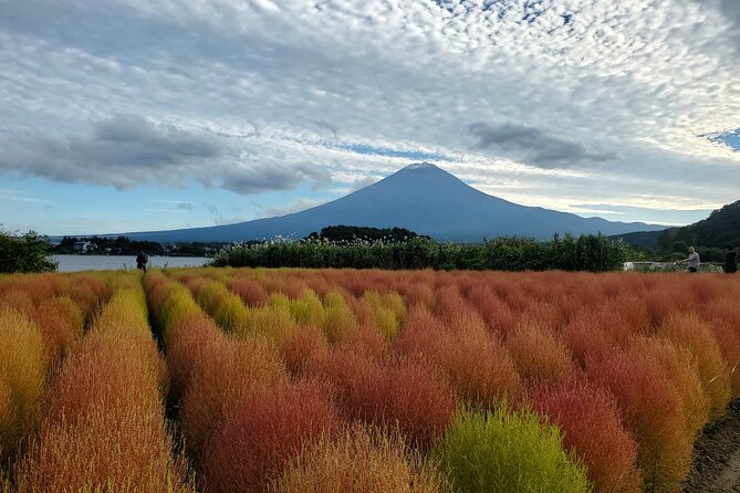 Full Day Mount Fuji Private Tour With English Speaking Guide - Last Words