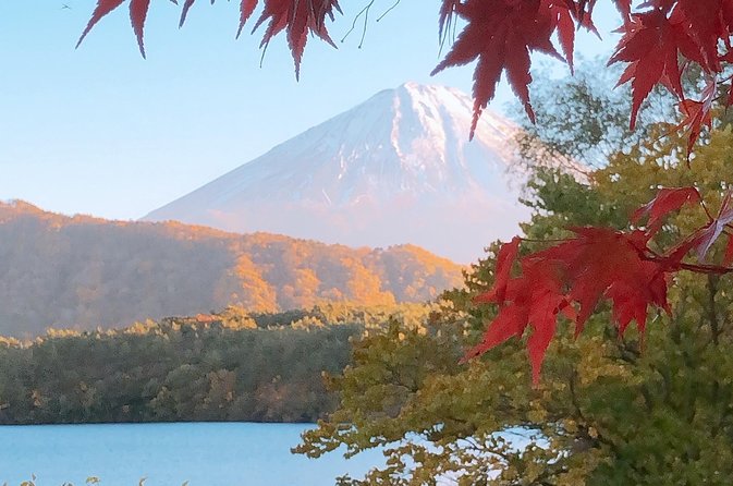 Full Day Private Fuji Tour With English Driver & Muslim Friendly - Customization Options Available