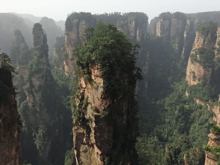 Full-Day Private Tour of Zhangjiajie National Forest Park - Live Tour Guide