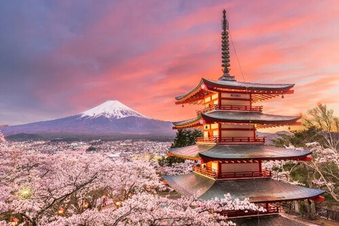 Full Day Private Tour To Mount Fuji Assisted By English Chauffeur - Booking Information