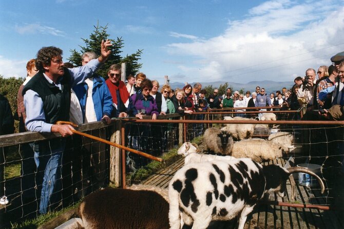 Full-Day Ring of Kerry Tour From Killarney - Directions and Google Maps Link