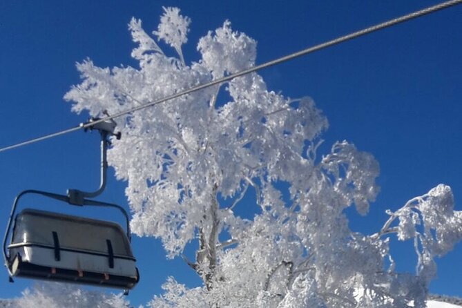 Full Day Ski Lesson (6 Hours) in Yuzawa, Japan - Common questions