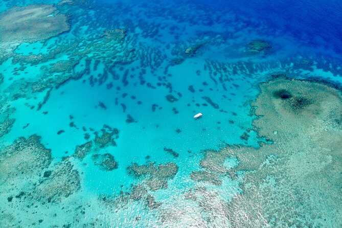 Full-Day Small-Group Guided Snorkeling Tour, Outer Reef (Mar ) - Customer Reviews and Feedback