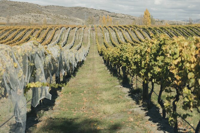 Full-Day Small-Group Wineries Tour With Tastings, Queenstown - Last Words