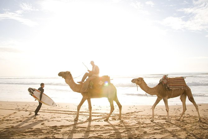 Full-Day Tour to Essaouira - the Ancient Mogador City From Marrakech - Tour Highlights