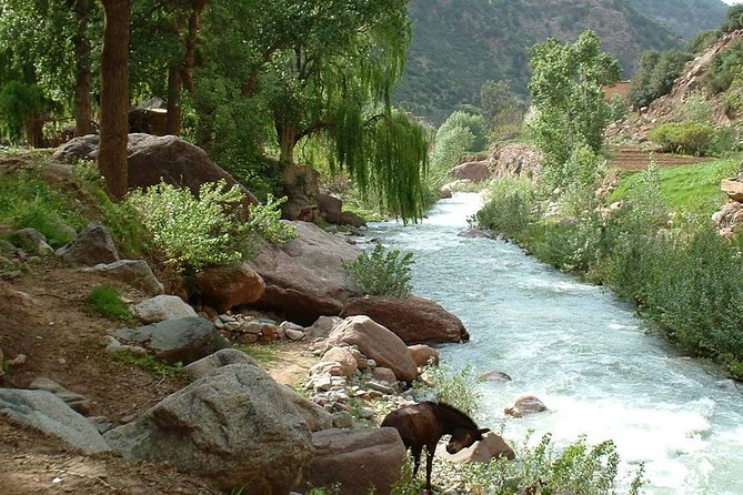 Full Day Trip To Ourika Valley From Marrakech - Safety Guidelines
