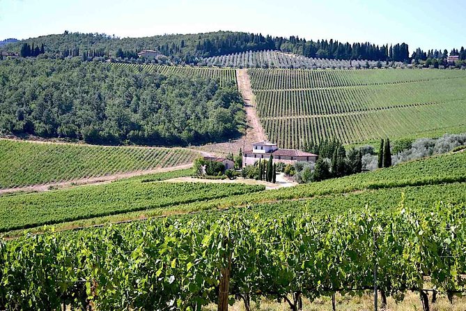 Full-Day Tuscany Castles Tour With Wine Tasting From Florence - Additional Tips and Resources