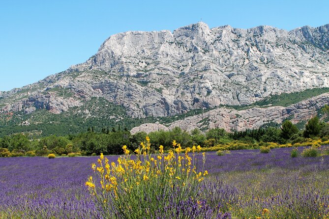 Full-Day Wine and Cheese Tour Around Aix-En-Provence From Marseille - Customer Review and Recommendations