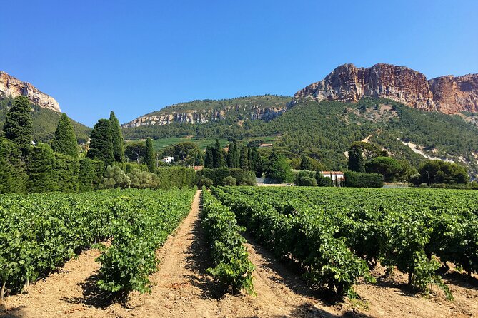 Full-Day Wine Tour Around Bandol & Cassis From Marseille - Common questions