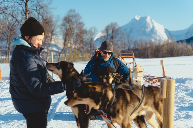 Fun & Easy Dog Sledding Adventure - Noon Tour - Last Words