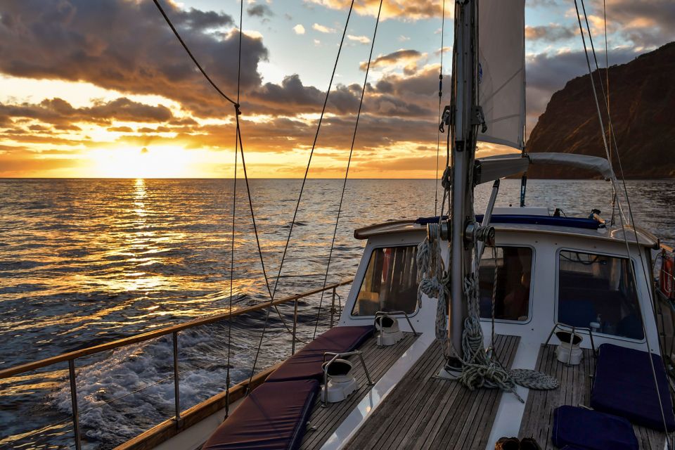 Funchal: Dolphin and Whale Watching Sunset Sailing Tour - Complimentary Beverage Offer