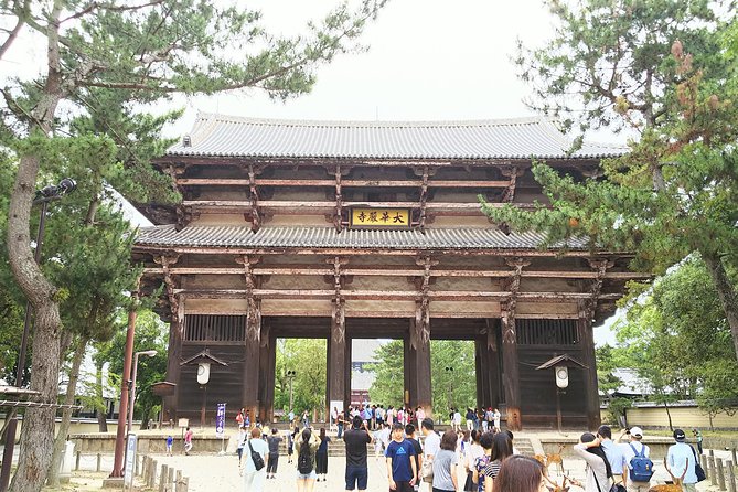 Fushimi Inari & Nara Highlights Tour - Last Words