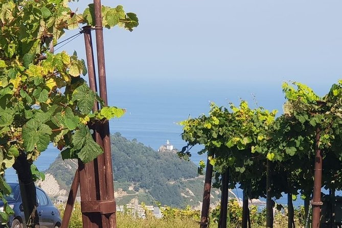 Getaria Txakoli Wine Tour With Hotel Pick-Up From San Sebastian - Common questions