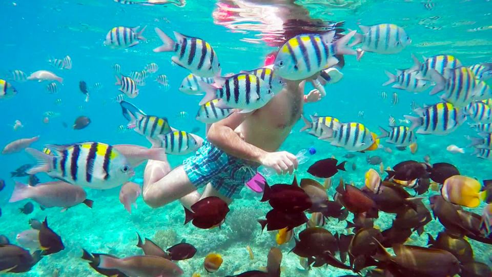 Gili Islands: 3-Island Sharing or Private Snorkeling Trip - Cancellation Policy