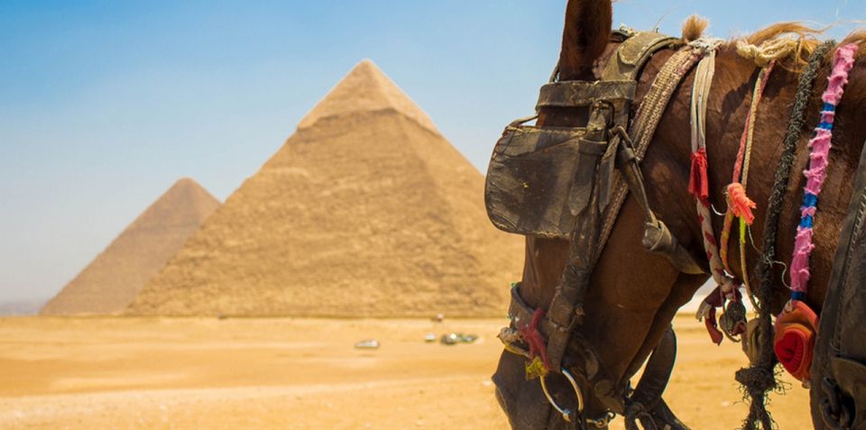Giza: Arabian Horse Tour Around the Giza Pyramids - Additional Details and Positive Reviews
